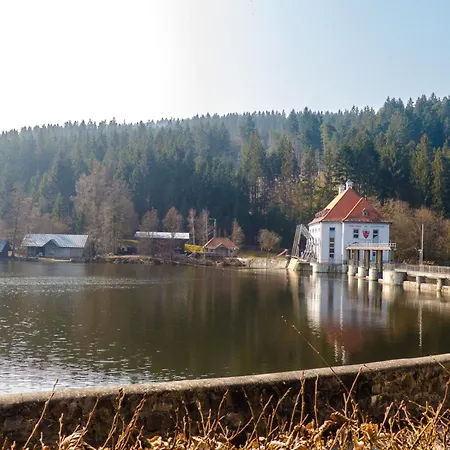 Nr 9a3, Hagbuegerl, Bayr Wald *