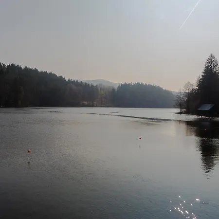 Holiday home Nr 9a3, Hagbuegerl, Bayr Wald Waldmuenchen