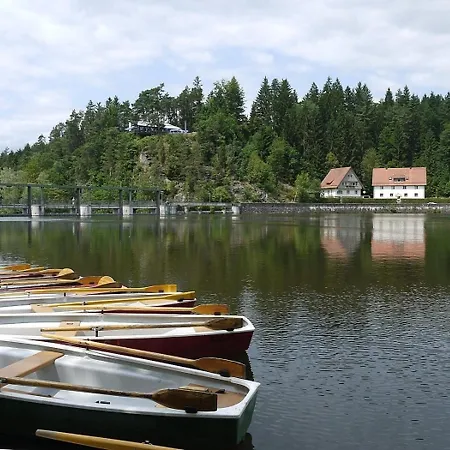 Nr 9a3, Hagbuegerl, Bayr Wald Waldmünchen